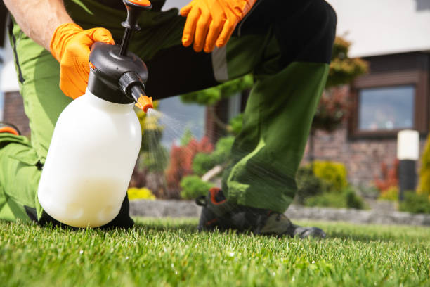 Best Flea Control Services  in Mccook, NE