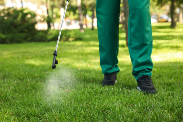 Best Cockroach Control Services  in Mccook, NE