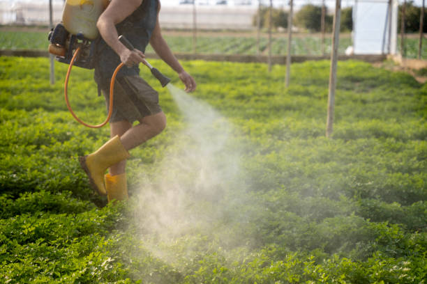 Trusted Mccook, NE Pest Control Experts
