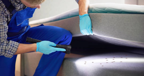 Best Pest Removal Services  in Mccook, NE