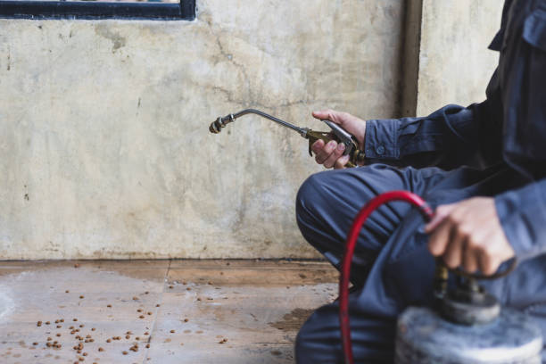 Best Termite Control Services  in Mccook, NE